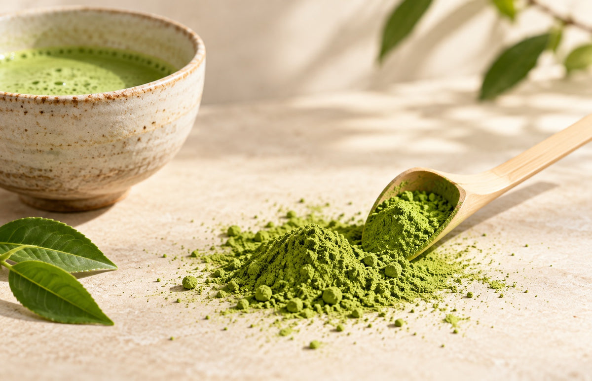 Fine vibrant green ceremonial matcha powder